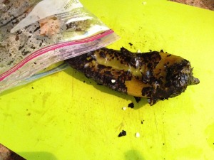 Green Chili out of a vendor bag